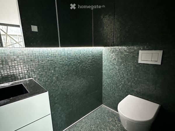 Wohnen in aussergewöhnlich grüner Architektur 2