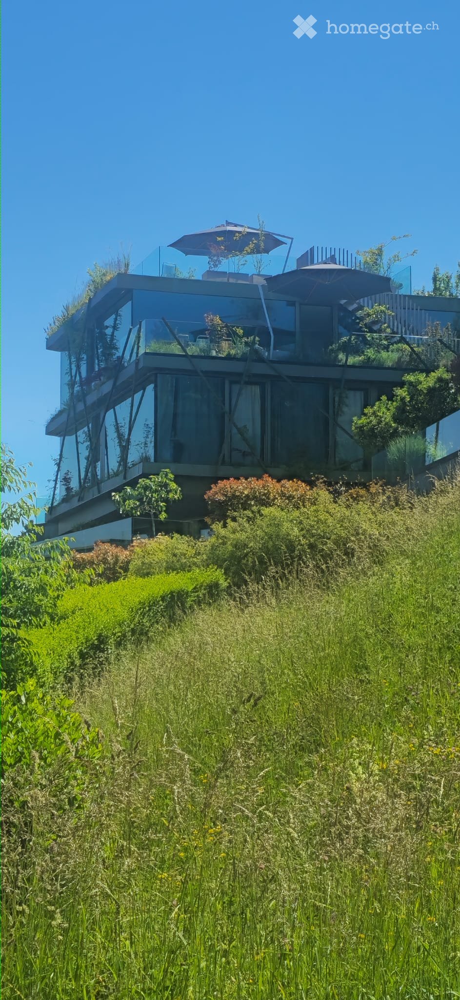 Modern two-story house with large glass windows and a rooftop terrace, surrounded by lush greenery and tall grass.