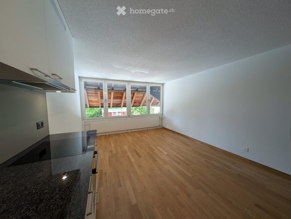 Charmante 2-Zimmer-Wohnung in Lüsslingen – ab sofort verfügbar!