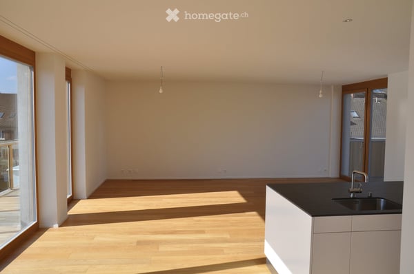 Exklusive Neubau-Attikawohnung im Neubadquartier 3