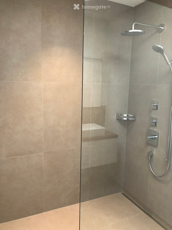 Exklusive Neubau-Attikawohnung im Neubadquartier 11