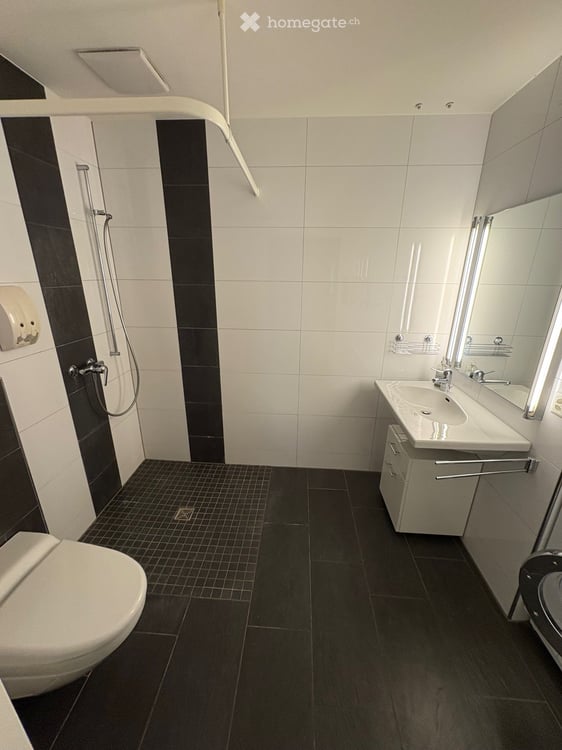 Helle Parterre Wohnung in Dielsdorf 5