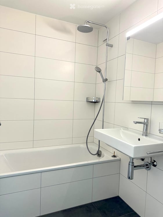 Helle sanierte 4-Zimmer-Wohnung mit Balkon und schöner Aussicht in Horw 4