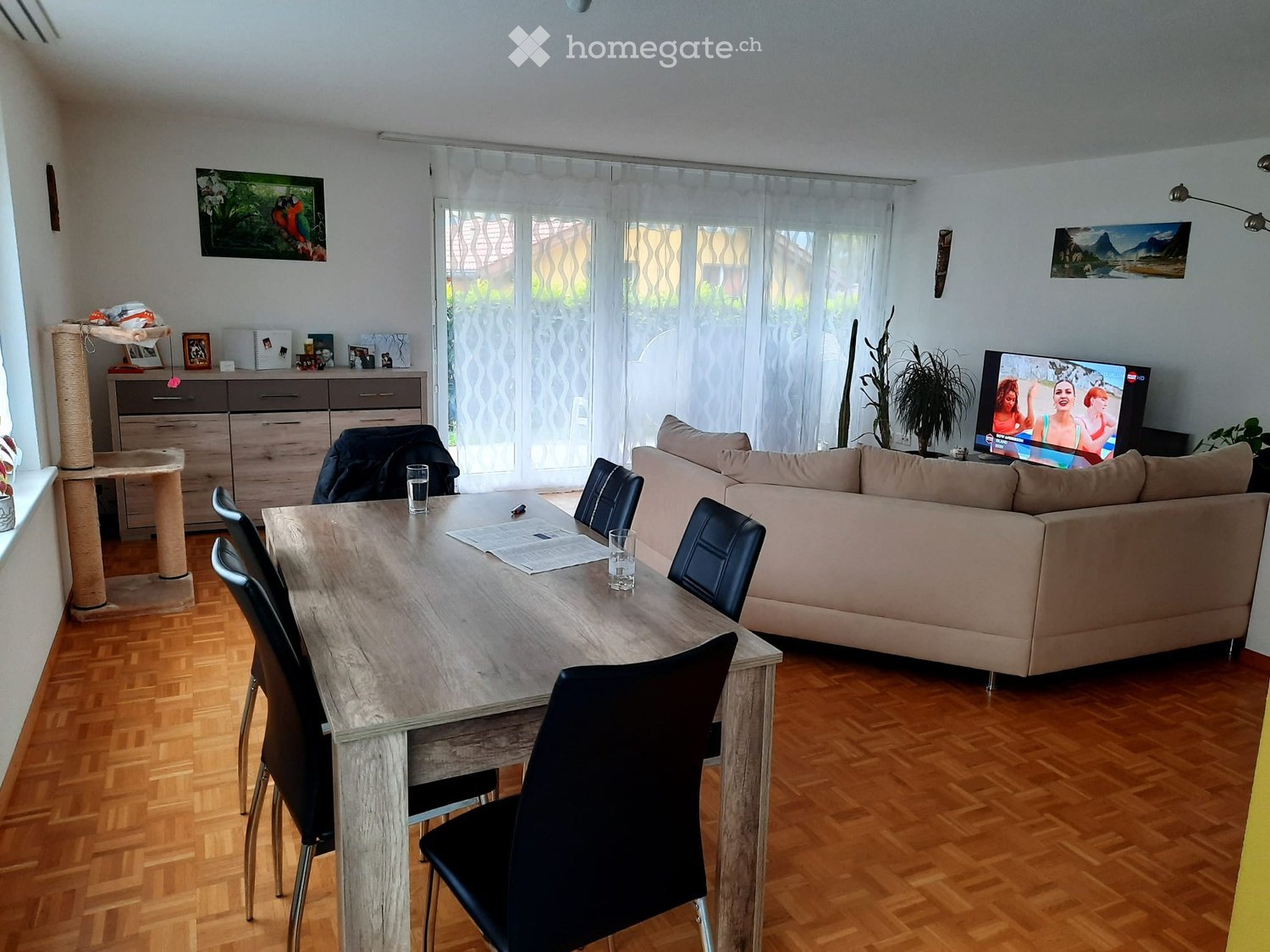 Living room with a sofa, dining table, chairs, cat tree, and television. Large windows with sheer curtains and wooden flooring.