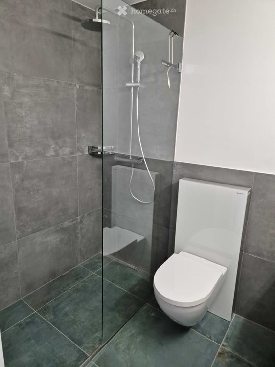 Bezaubernde, moderne 3.5-Zimmer-Wohnung im Kreis 4 , Zypressenstrasse 7