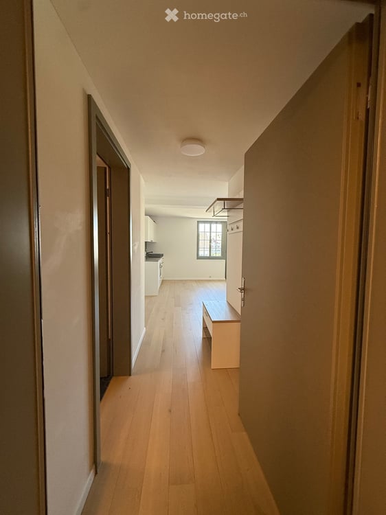 Moderne 1.5-Zimmer-Wohnung mit Balkon und schöner Aussicht in Mettmenstetten