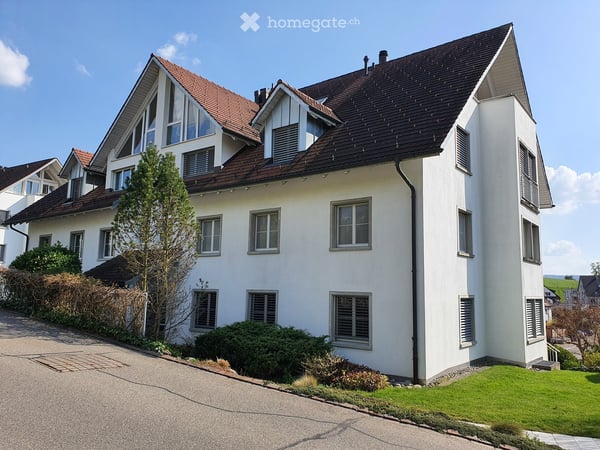Volketswil