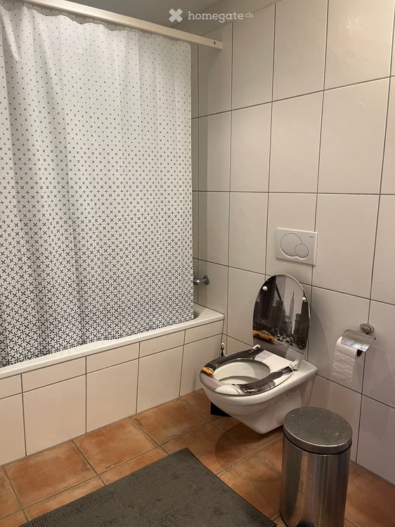 Charmante 2.5-Zimmer-Maisonette-Wohnung in Langnau b. Reiden – ab Oktober 2026 verfügbar 7