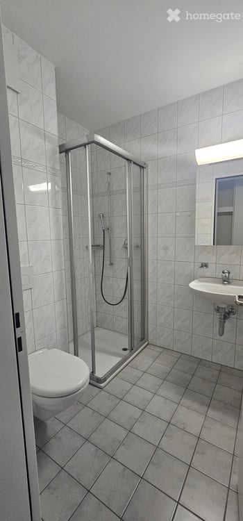 Helle 4.5-Zimmer-Wohnung mit Balkon/Wintergarten/Terrasse in Zug – ruhige Lage, modern ausgestattet 11
