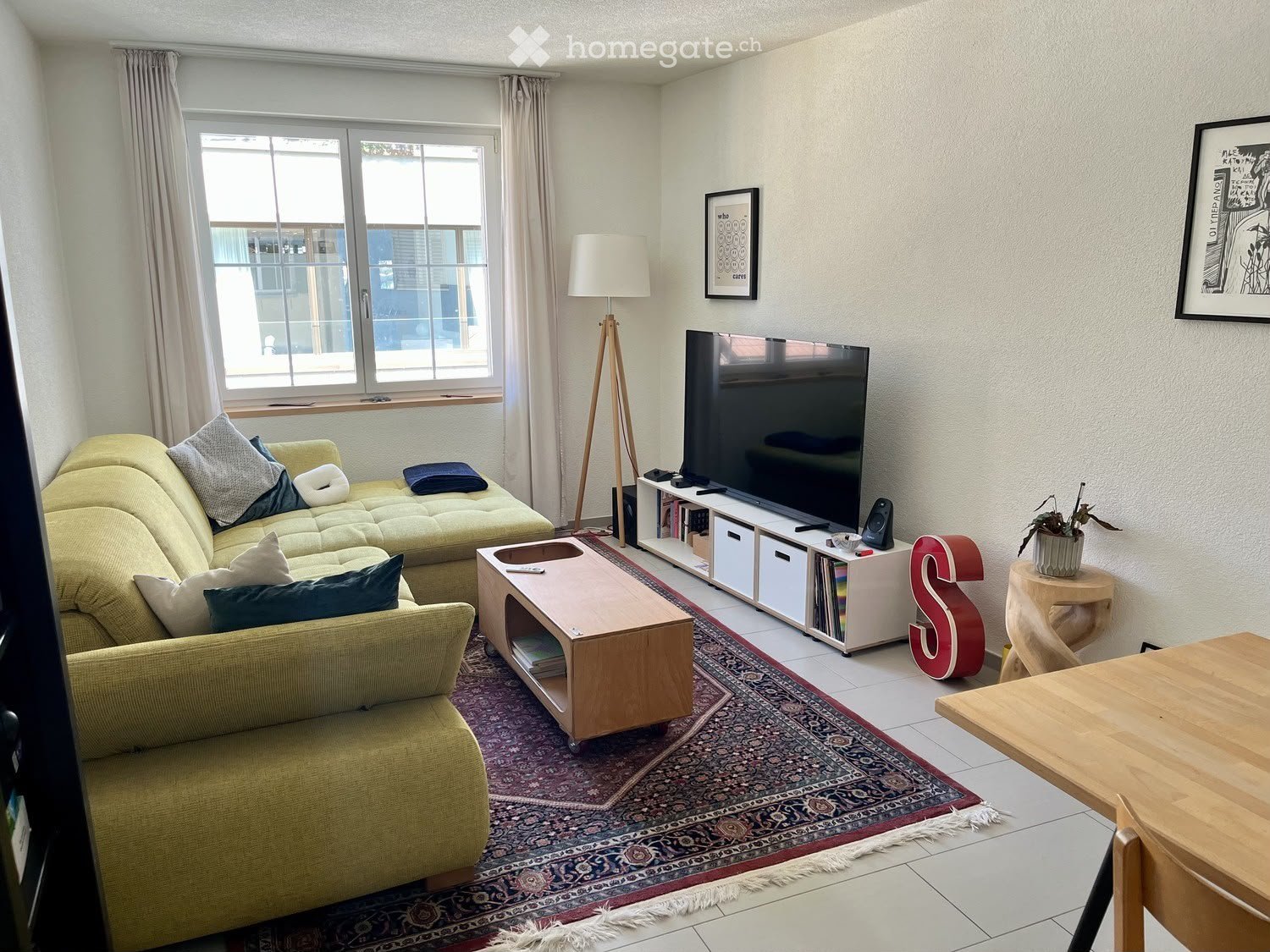 Modern living room with a light green sofa, wooden coffee table, floor lamp, TV, and a small table with a potted plant.