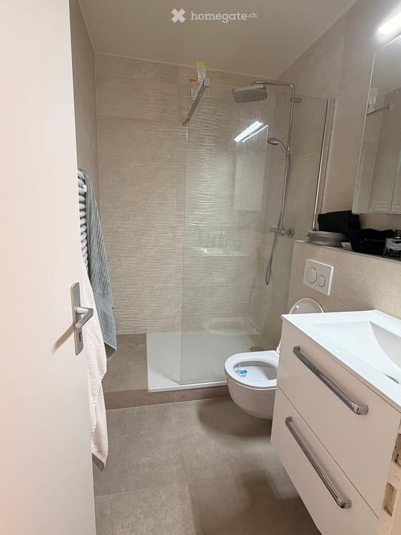 Modern appartement de 2.5 pièces à Pull…