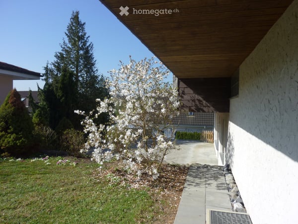 Eggenwil
