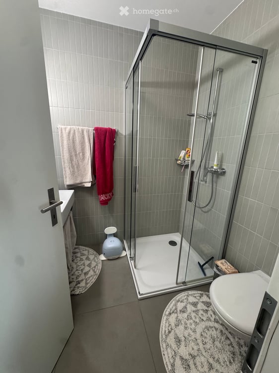 Nachmieter für 6.5 Zimmer wohnung 7