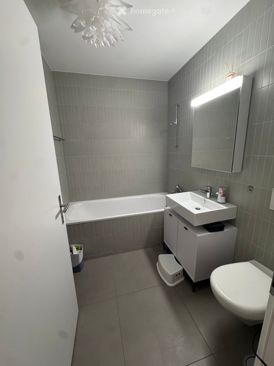 Nachmieter für 6.5 Zimmer wohnung 6