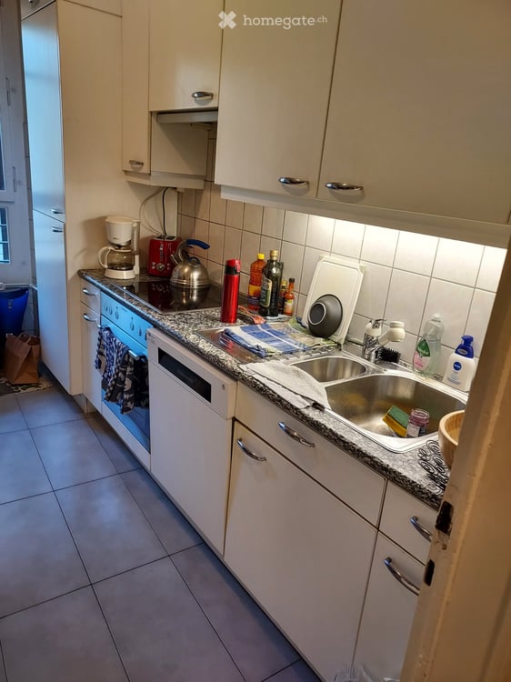 Lovely apartment in Eaux-Vives, full of light 3