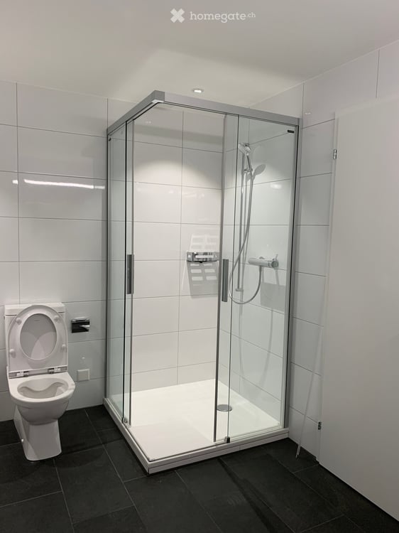 Moderne 3.5-Zimmer-Attikawohnung in Emmenbrücke 6