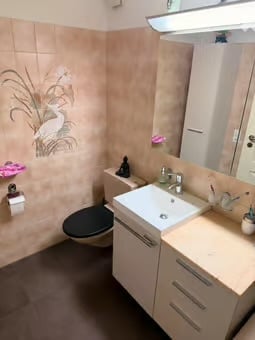 Helle 4.5-Zimmer-Wohnung mit Balkon in ruhiger Lage in Widen 4