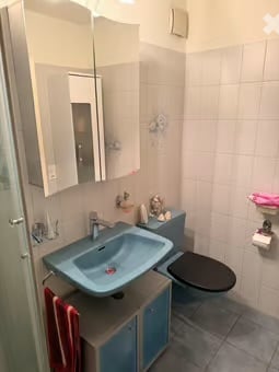 Helle 4.5-Zimmer-Wohnung mit Balkon in ruhiger Lage in Widen 5