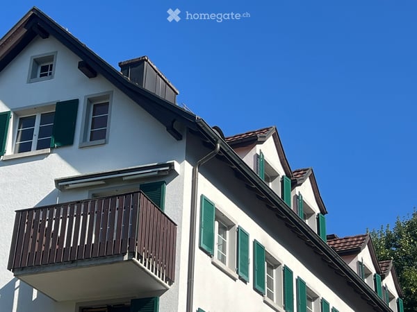 Ruhige Oase Mitten in Horgen 3