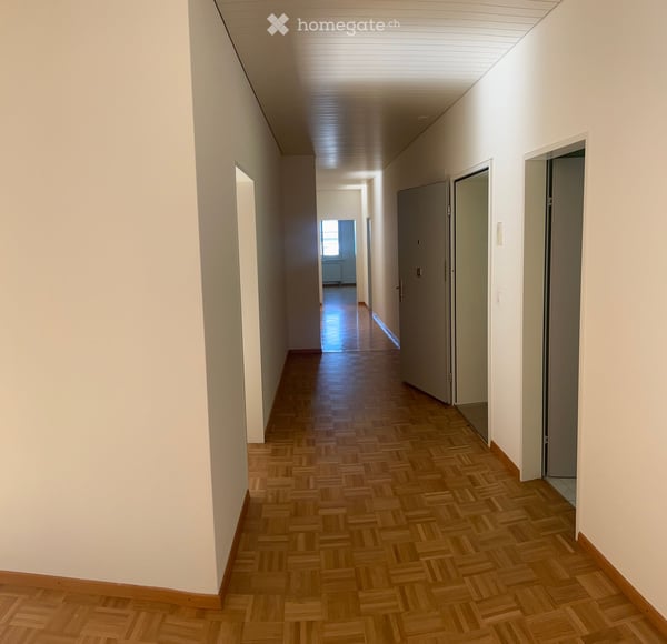 Ruhige Oase Mitten in Horgen 9