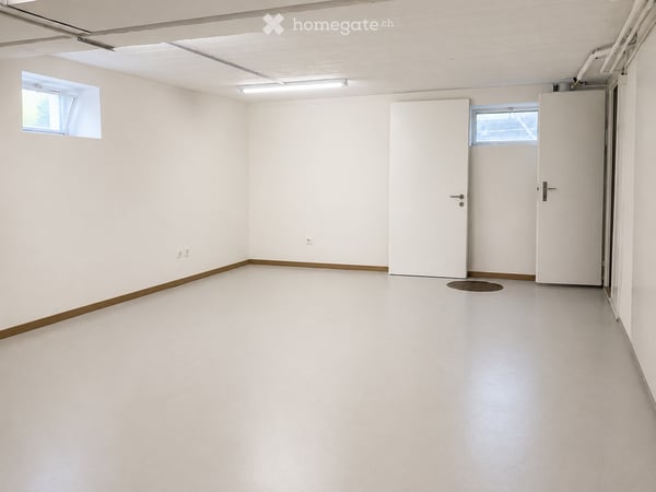 Gewerbe mit vielseitigen Nutzungsmöglichkeiten an zentraler Lage in Schlieren 3