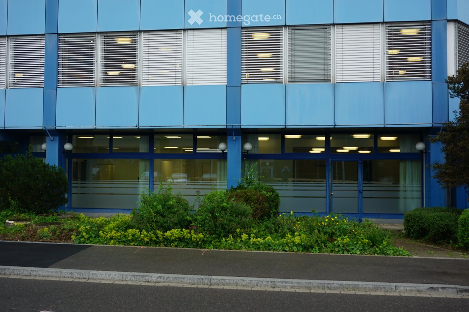 Modern multi-story building with blue facade, large windows with blinds, and a landscaped entrance area with greenery and flowers.