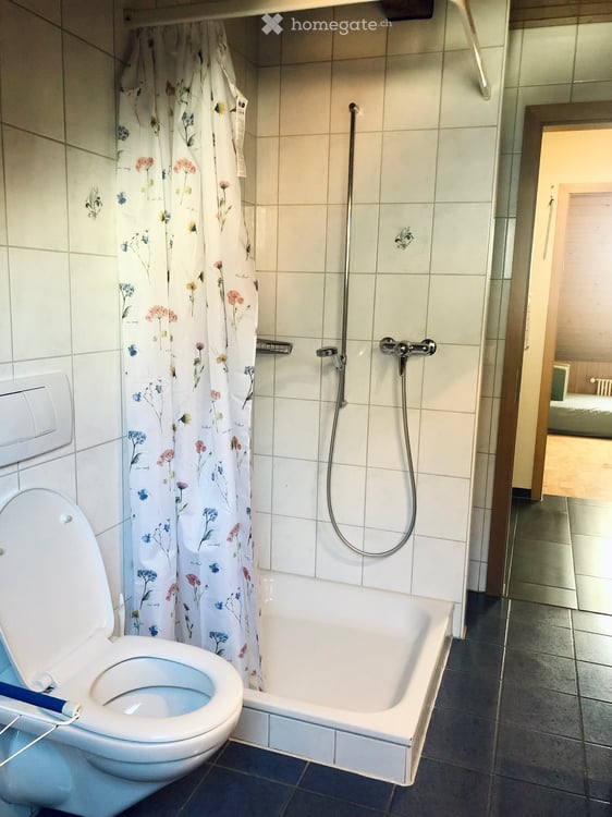 Charmante 5.5-Zimmer-Dachwohnung in ruhiger Lage von Rüedisbach 6