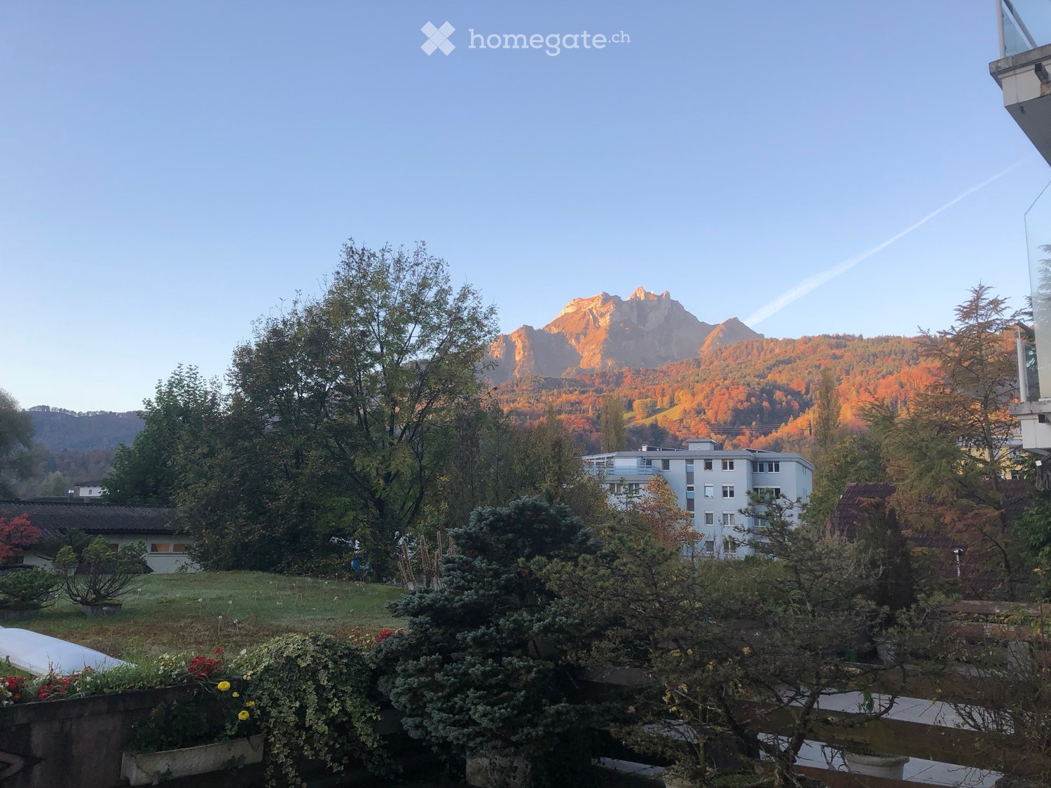 Garden with various plants and flowers, overlooking a scenic mountain range and a residential building.