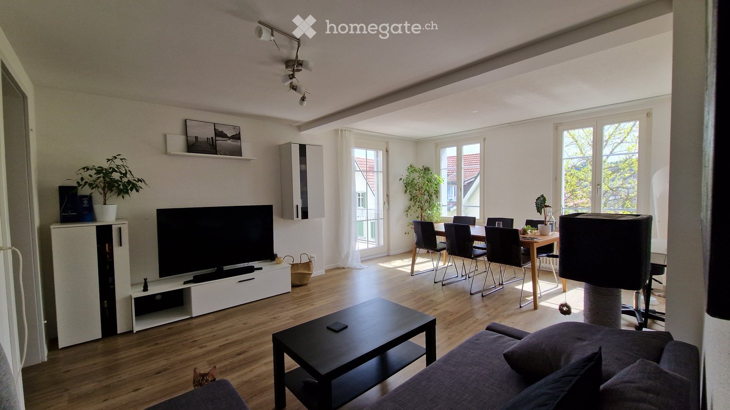 Bright living and dining area with wooden flooring, large windows, a sofa, coffee table, TV, dining table with chairs, and a cat tree.