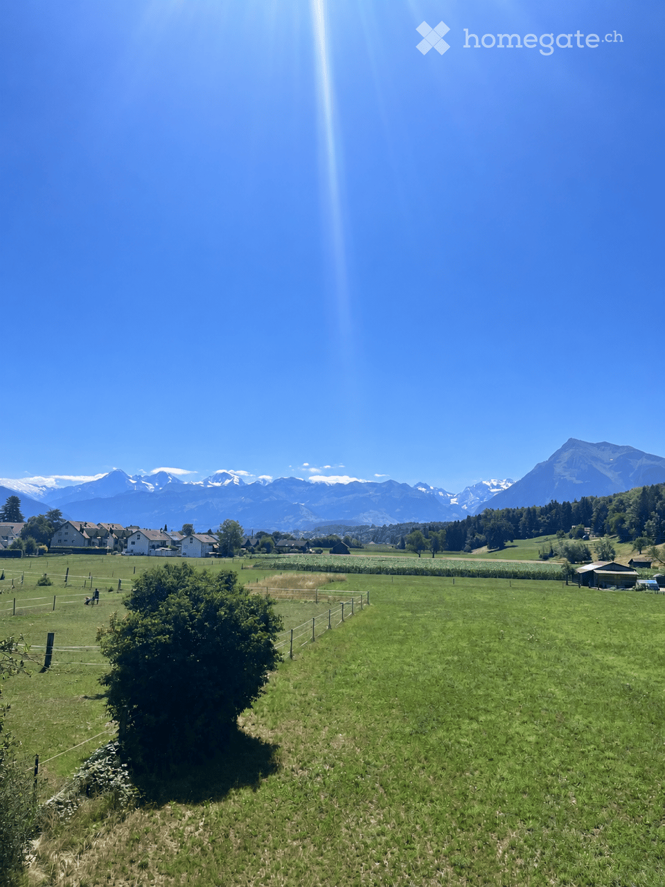 A peaceful rural landscape with green fields, scattered trees, a few houses, and distant snow-capped mountains under a clear blue sky.