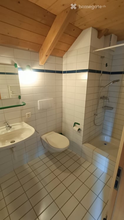 Charmantes 6.5-Zimmer-Reihenhaus mit Kamin in Wetzikon ZH 25