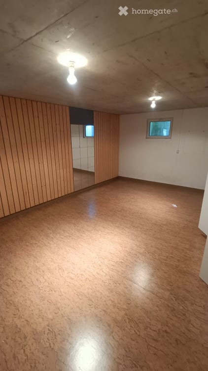 Charmantes 6.5-Zimmer-Reihenhaus mit Kamin in Wetzikon ZH 13