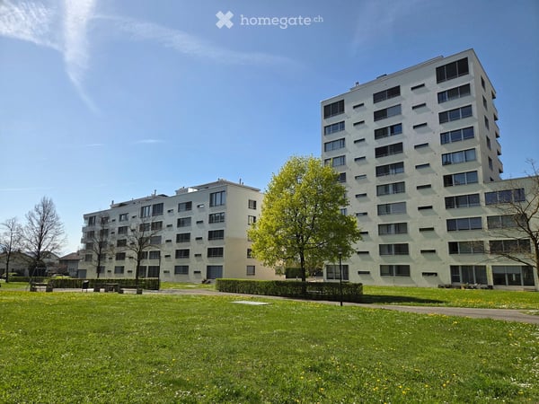 Grosszügige 3.5-Zimmer-Wohnung im ruhigen Wohnpark Feldhof in Zug 14