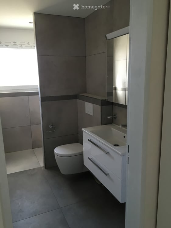 Moderne 4.5-Zimmer-Wohnung im Dättnau (Winterthur) 2