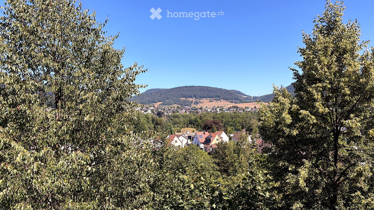 A panoramic view of a town nestled in a valley, surrounded by lush green trees and hills under a clear blue sky.