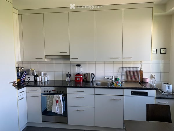 Helle 3.5-Zimmer-Wohnung mit Balkon im ruhigen Zürich Triemli 2