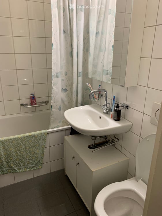 Helle 3.5-Zimmer-Wohnung mit Balkon im ruhigen Zürich Triemli 11