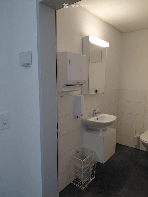 Gewerbefläche / Ladenlokal mit eigener Toilette an der Witzbergstrasse 3 in Pfäffikon ZH 3