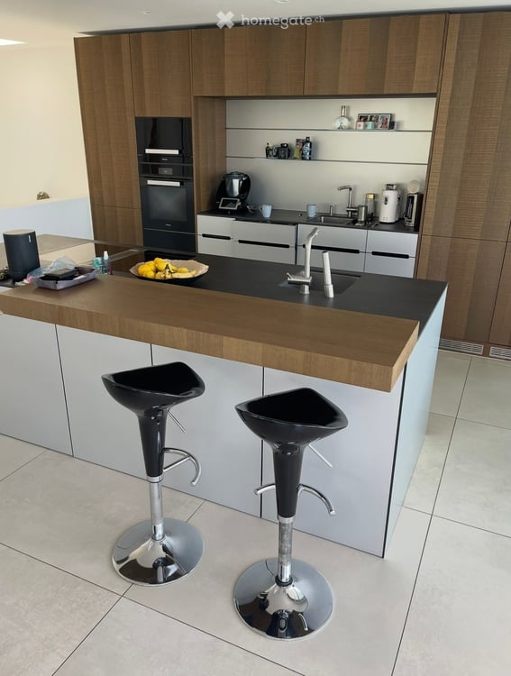 Exklusives Premium-Haus nahe Zürich West 68
