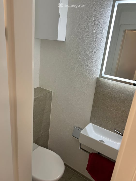 Charmante 3.5-Zimmer-Wohnung am Zürichberg 11