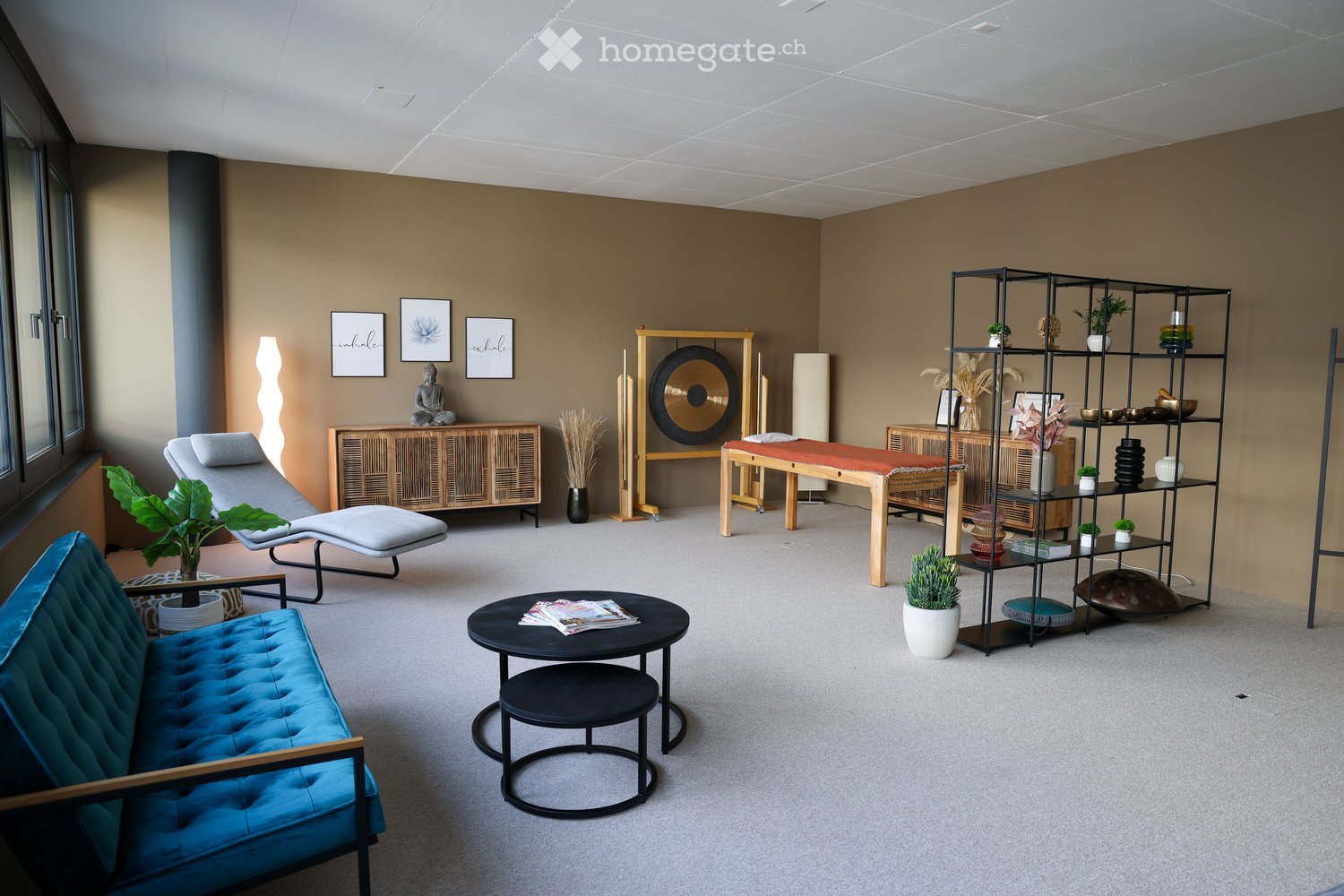 A modern, well-lit room with a blue sofa, a black coffee table, a lounge chair, a wooden cabinet, a shelf with decorative items, and several potted plants.