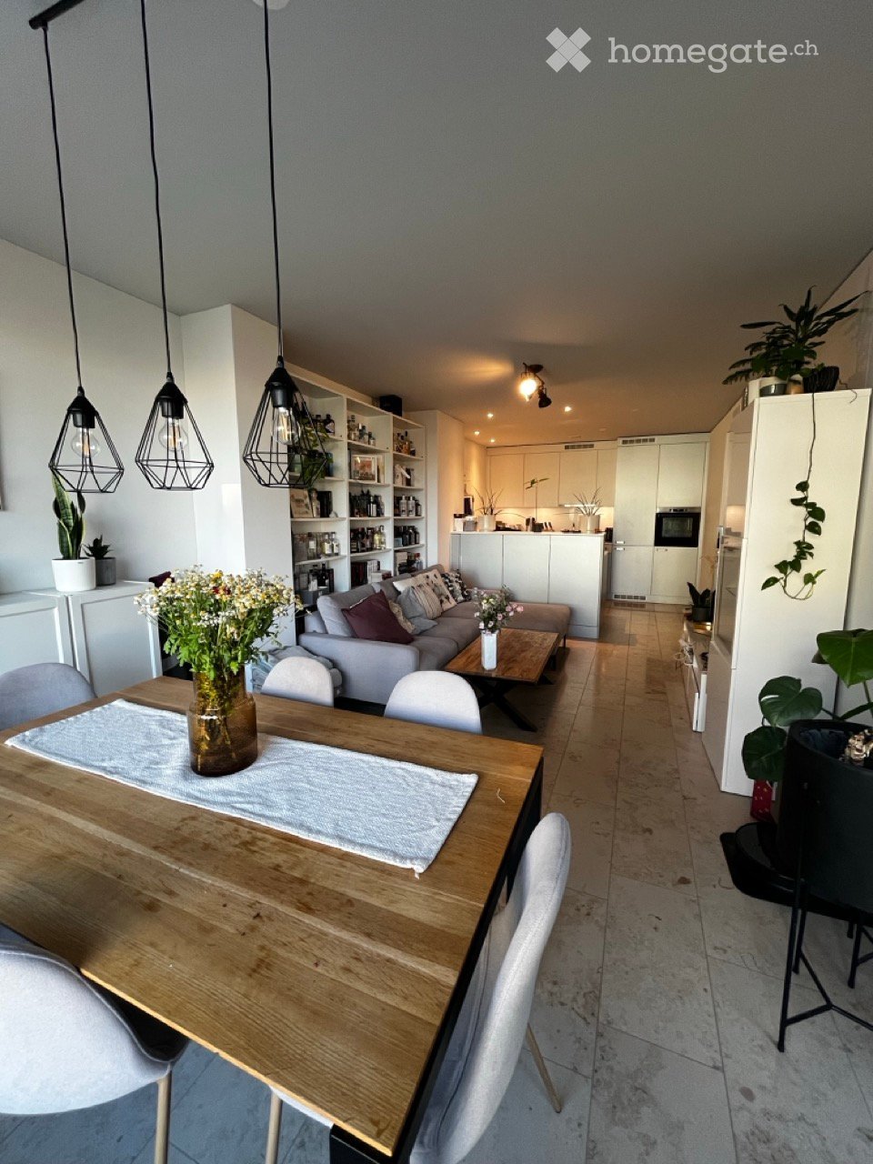 Open-plan living and dining area with a grey sofa, coffee table, dining table with chairs, pendant lights, shelves, and a modern kitchen with white cabinets and stainless steel appliances.
