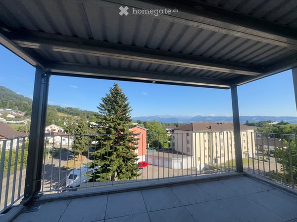 Luxuriöse 2.5 Zi Neubau Terassenwohnung 6