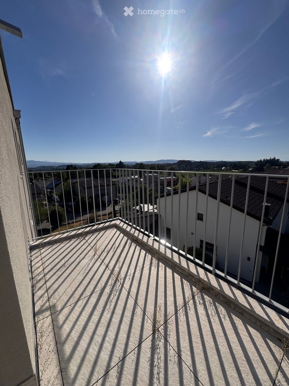 Luxuriöse 2.5 Zi Neubau Terassenwohnung 7