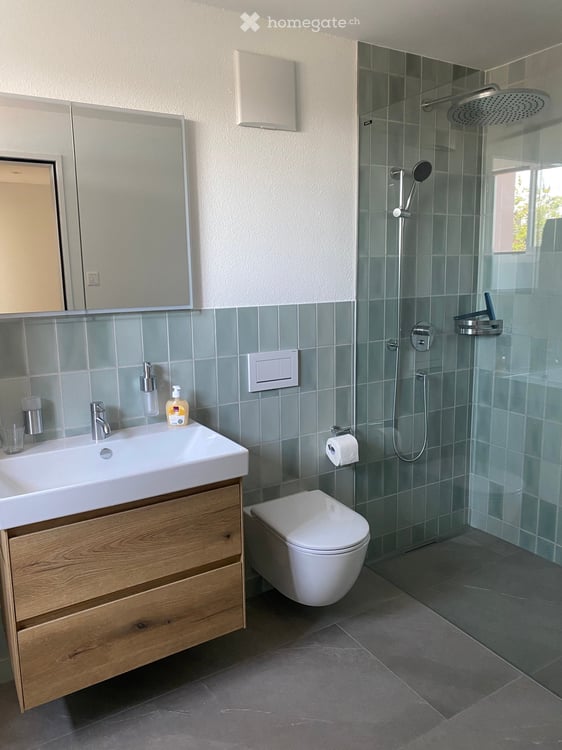 Neubau/Erstvermietung, Traumhafte Attikawohnung mit Seepanorama am Zürichsee 11