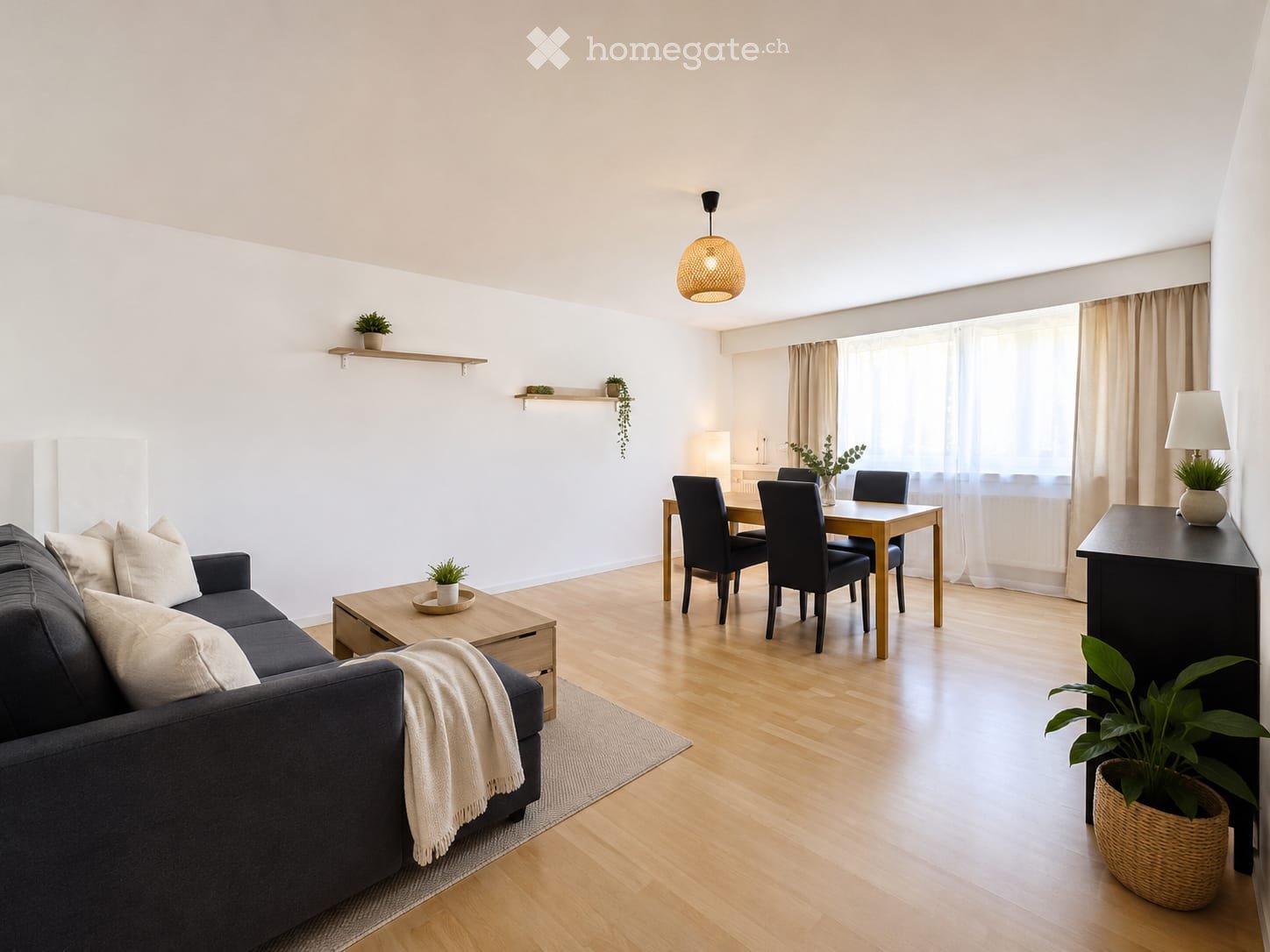 Modern living and dining area with a grey sofa, coffee table, dining table with chairs, and decorative plants.