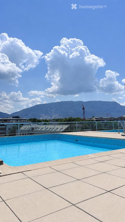 Spacious 5.5-Room Apartment with Stunning Views in Geneva's Prestigious 1208 10