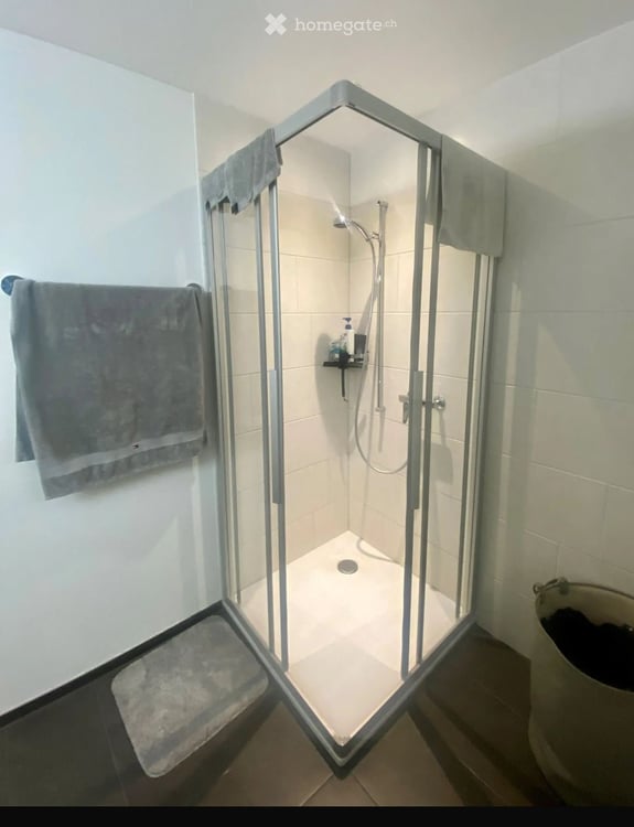 2.5- Zimmerwohnung in Kappel SO 6