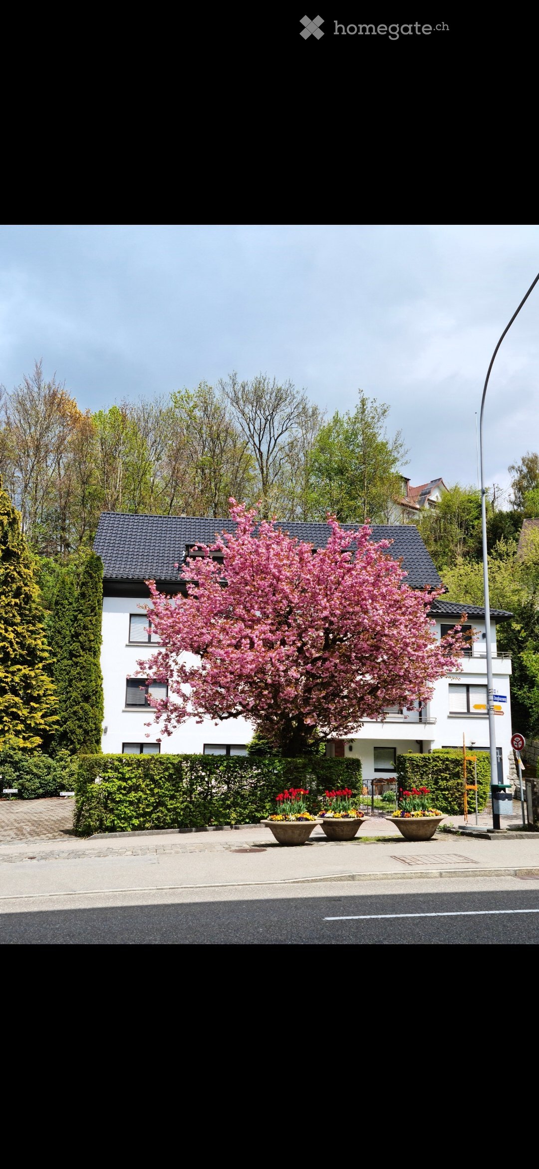 Two-story white house with a dark roof, surrounded by greenery and a blooming pink tree in the front yard.