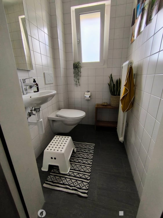 6.5-Zimmer-Wohnung mit grosser Terrasse im freundlichen Mösliquartier 4